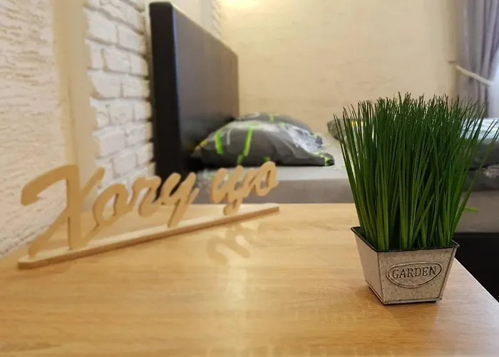 New Luxury Studio Apartment