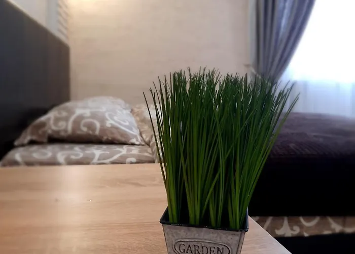 New Luxury Studio Apartment